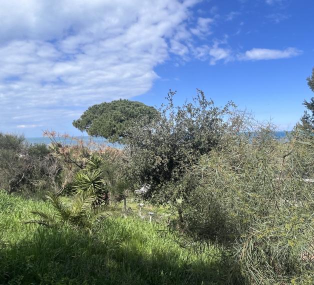 Casalbordino