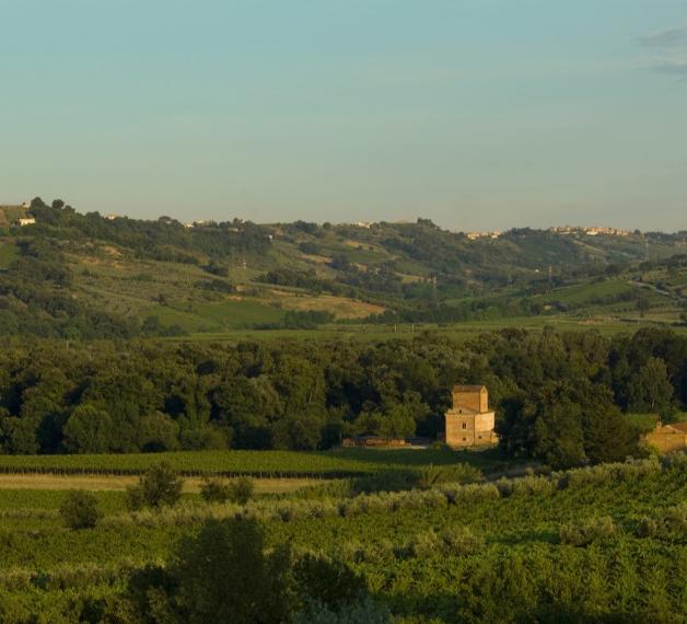 bosco di don venanzio