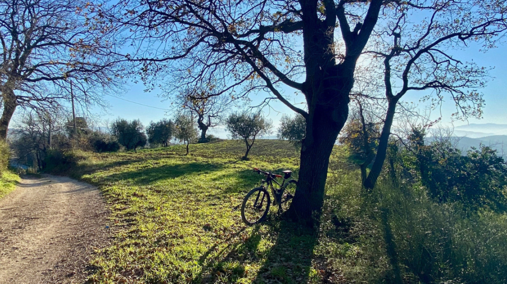 Foto di Alessandro Ricci