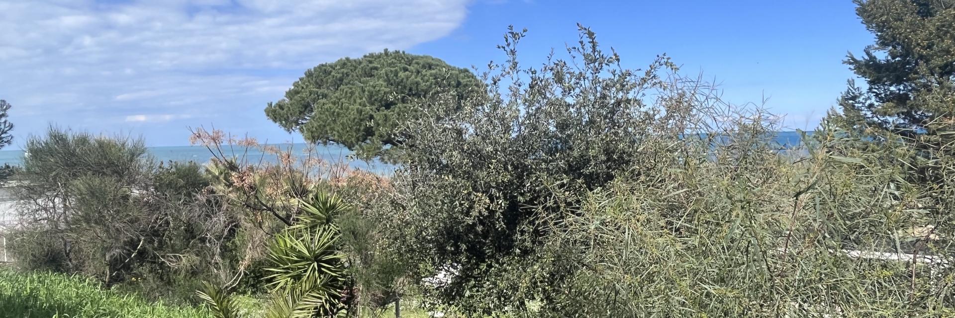 Casalbordino