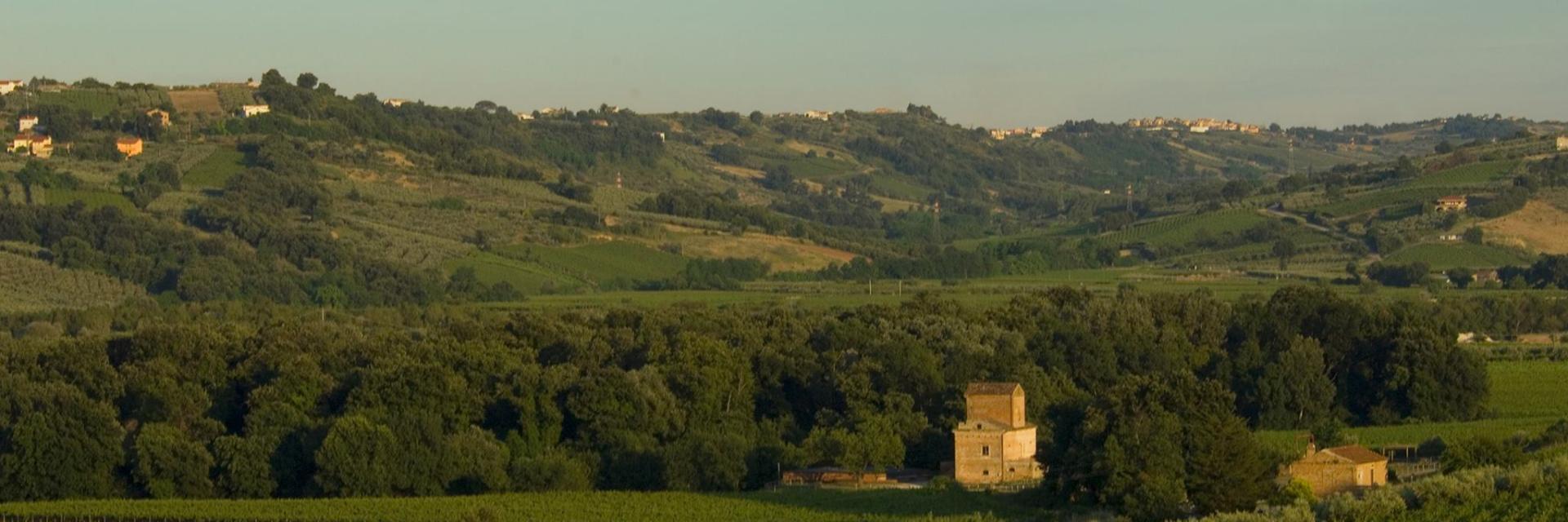 bosco di don venanzio