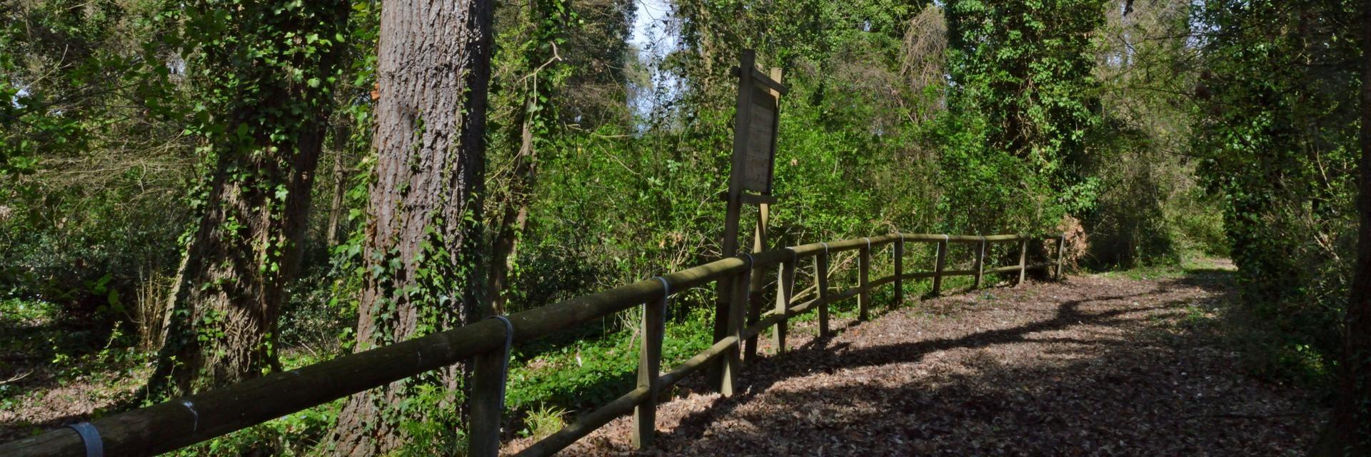 Bosco Don Venanzio